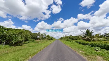 Terrenos Agricolas - IQUITOS