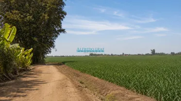Terrenos Agricolas - CHANCAY