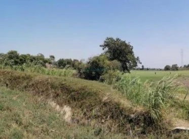 Terrenos Agricolas - CHICLAYO
