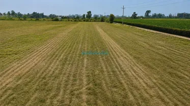 Terrenos Agricolas - VEGUETA
