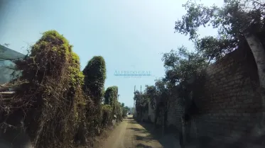 Terrenos Agricolas - LURIN