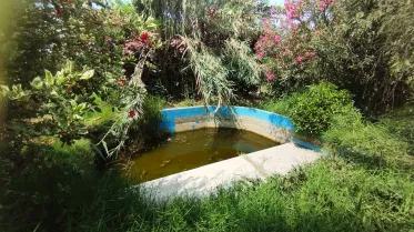 Terrenos Agricolas - LURIN