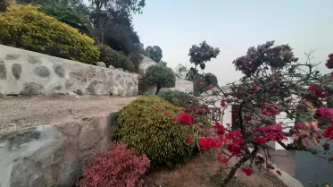 Casas - LA MOLINA