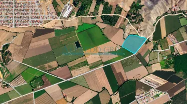 Terrenos Rusticos - CHANCAY