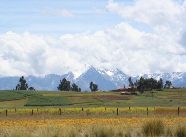 Terrenos Agricolas - CUSCO