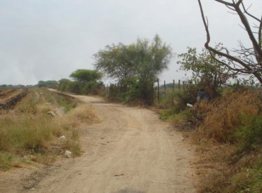 Terrenos Agricolas - TUMBES
