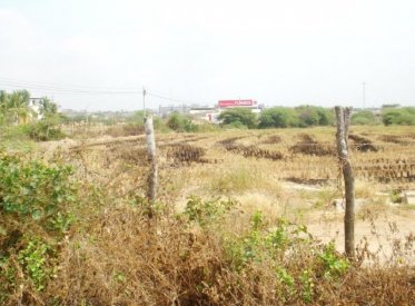Terrenos Agricolas - TUMBES