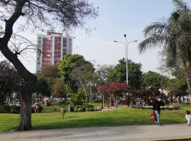 Departamentos - LINCE