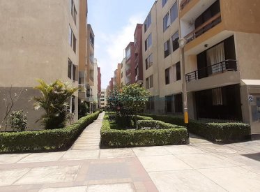 Departamentos - SAN MARTIN DE PORRES