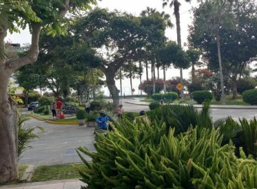 Departamentos - MIRAFLORES