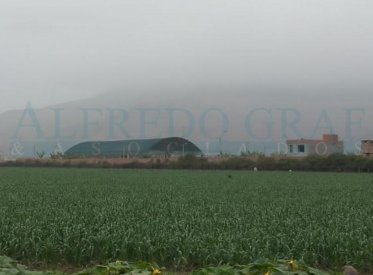 Terrenos Industriales - CHANCAY