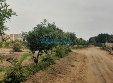 Terrenos Residenciales - ASIA