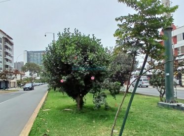 Departamentos - SAN ISIDRO
