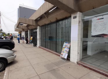 Locales Comerciales - LINCE