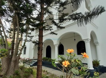 Casas como Oficina - MIRAFLORES