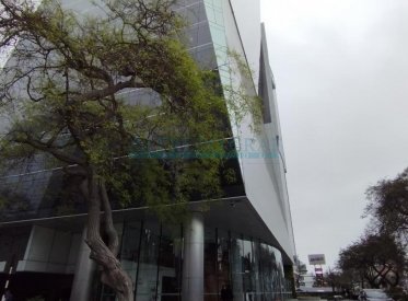 Oficinas - SAN ISIDRO