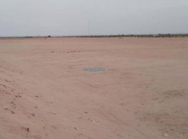 Terrenos Tratamiento Especial - PARACAS