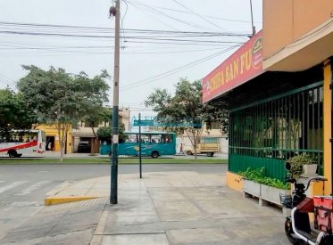 Locales Comerciales - SANTIAGO DE SURCO