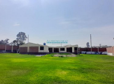 Casas - LURIGANCHO