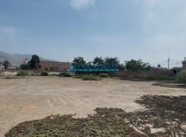 Terrenos Comerciales - LURIGANCHO