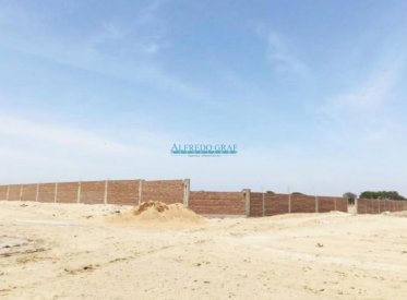 Terrenos Rusticos - CHICLAYO