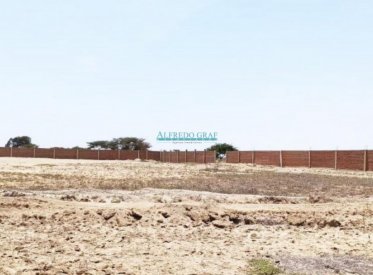 Terrenos Rusticos - CHICLAYO