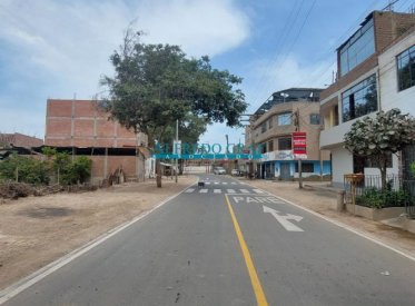 Terrenos Tratamiento Especial - PUENTE PIEDRA