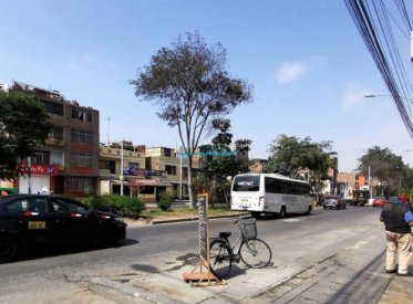Locales Comerciales - SAN MARTIN DE PORRES