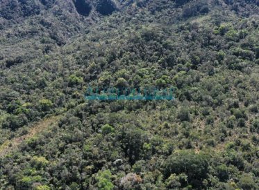 Terrenos Agricolas - CHONTABAMBA