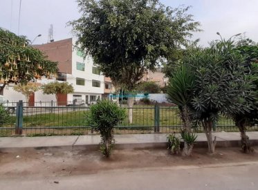 Terrenos Residenciales - LOS OLIVOS