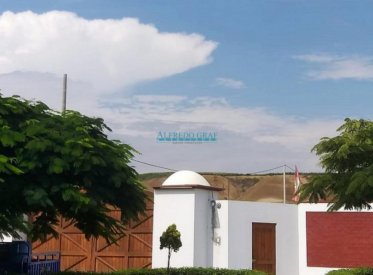 Terrenos Agricolas - TAMBO DE MORA