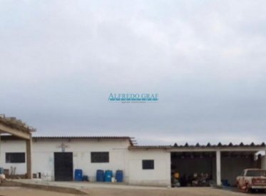 Terrenos Agricolas - MORO