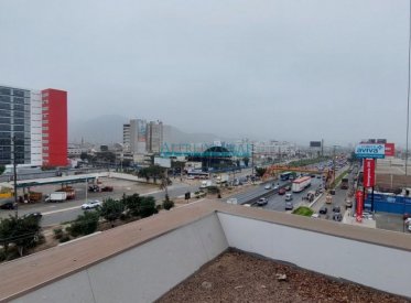 Edificios - LOS OLIVOS