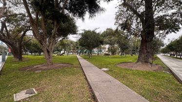 Oficinas - SAN ISIDRO