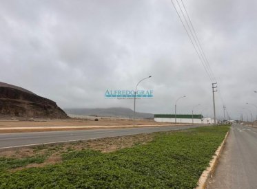 Terrenos Industriales - CHILCA