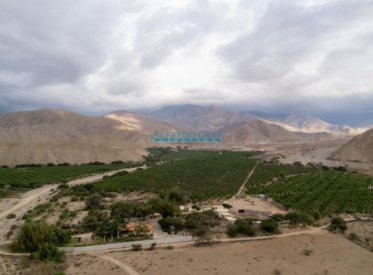 Terrenos Agricolas - MORO