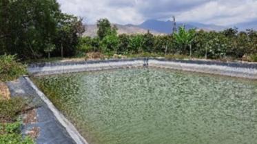 Terrenos Agricolas - MORO