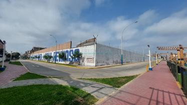 Terrenos Industriales - CARMEN DE LA LEGUA REYNOSO