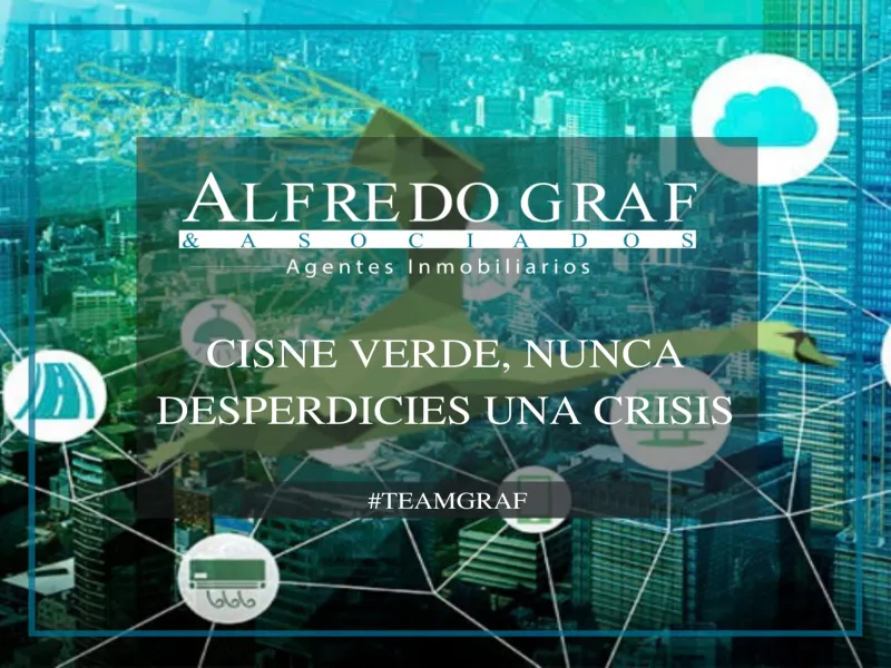 CISNE VERDE, NUNCA DESPERDICIES UNA CRISIS